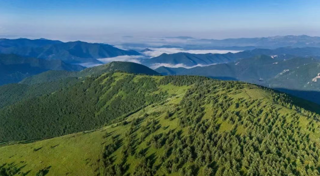 这一“口”，得来吧！