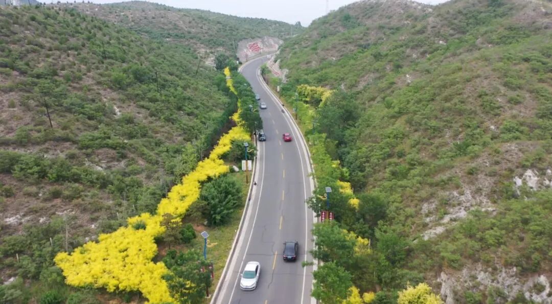 保定：从“停车之困”到“归家之暖”