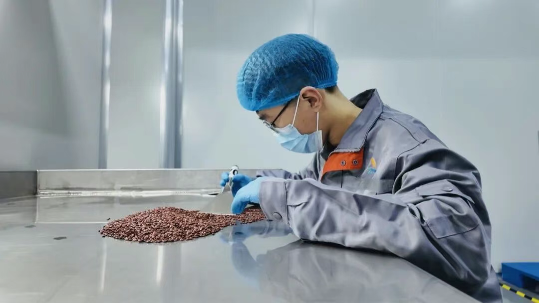 扁鹊药谷“一中心三链条” 创新打造酸枣发展“新引擎”