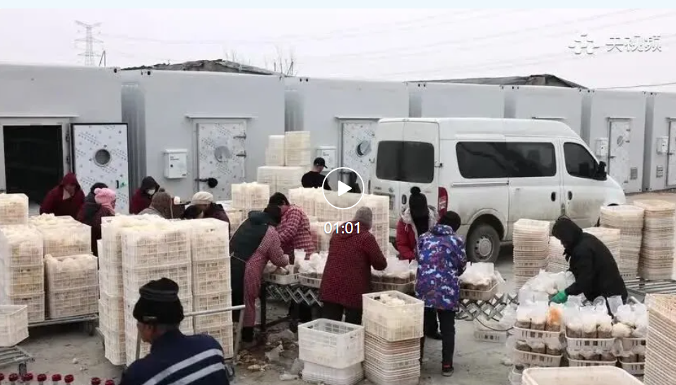 河北新河：智慧方舱“种”出乡村振兴新希望