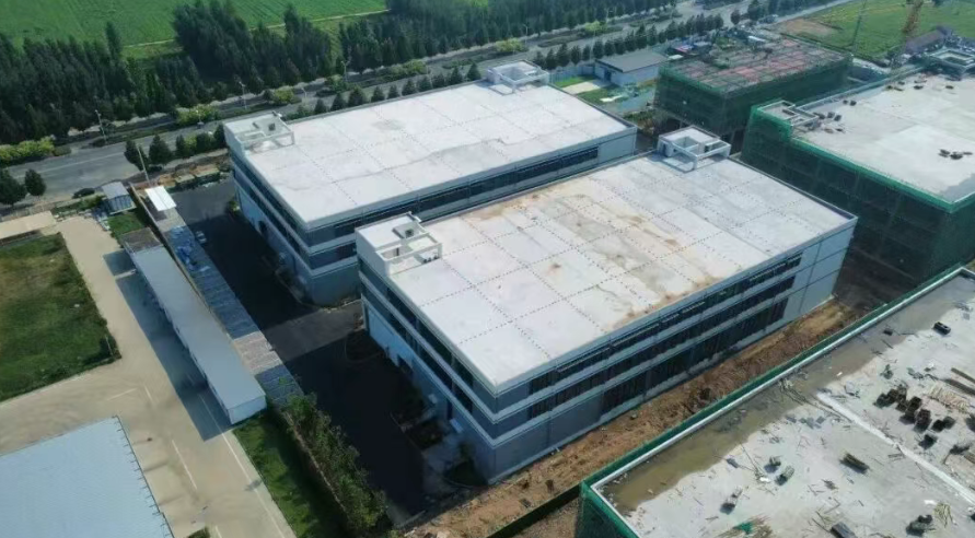 【高质高效】大名聚焦“一县一品”走出特色产业振兴路    