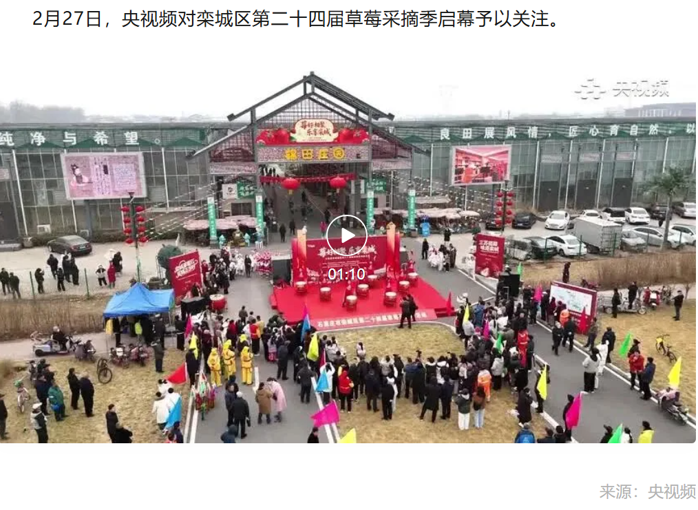 石家庄市栾城区：以“莓”为媒兴产业 农旅融合促振兴